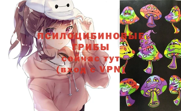 шишки Аша