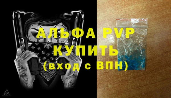 шишки Аша