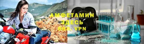 шишки Аша